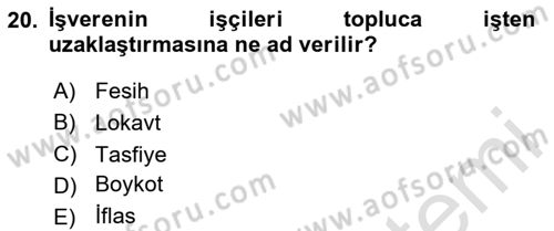 Endüstri Sosyolojisi Dersi 2025 - 2026 Yılı (Vize) Ara Sınav Soruları 20. Soru