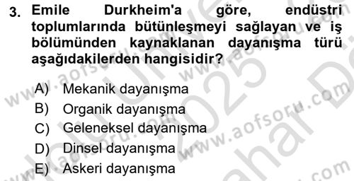 Endüstri Sosyolojisi Dersi 2025 - 2026 Yılı (Vize) Ara Sınav Soruları 3. Soru