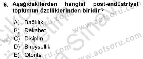 Endüstri Sosyolojisi Dersi 2025 - 2026 Yılı (Vize) Ara Sınav Soruları 6. Soru
