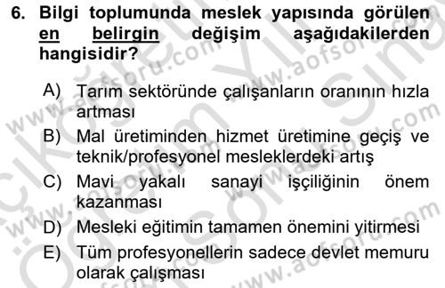 Endüstri Sosyolojisi Dersi 2025 - 2026 Yılı (Final) Dönem Sonu Sınav Soruları 6. Soru