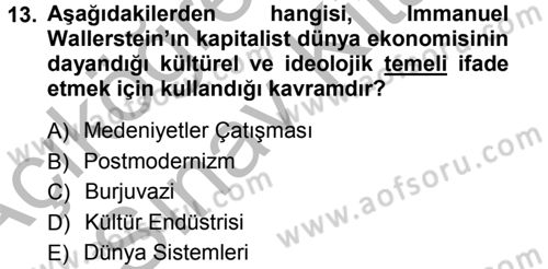 Kültür Sosyolojisi Dersi 2012 - 2013 Yılı (Vize) Ara Sınav Soruları 13. Soru