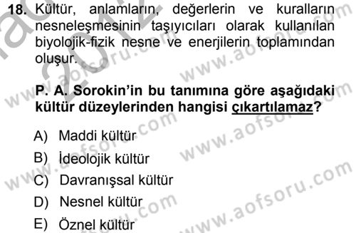 Kültür Sosyolojisi Dersi 2012 - 2013 Yılı (Vize) Ara Sınav Soruları 18. Soru