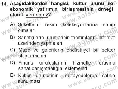 Kültür Sosyolojisi Dersi 2012 - 2013 Yılı Tek Ders Sınav Soruları 14. Soru