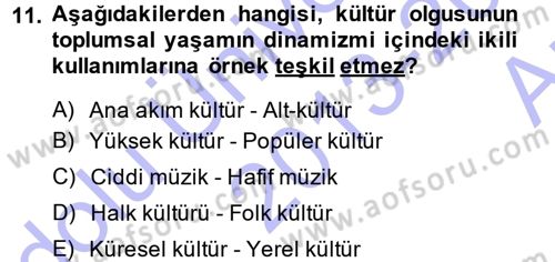Kültür Sosyolojisi Dersi Ara Sınavı Deneme Sınav Soruları 11. Soru