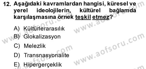 Kültür Sosyolojisi Dersi Ara Sınavı Deneme Sınav Soruları 12. Soru