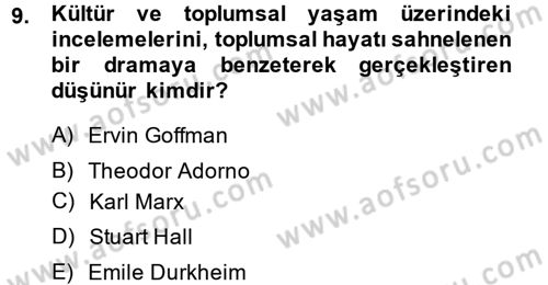 Kültür Sosyolojisi Dersi 2013 - 2014 Yılı (Vize) Ara Sınav Soruları 9. Soru