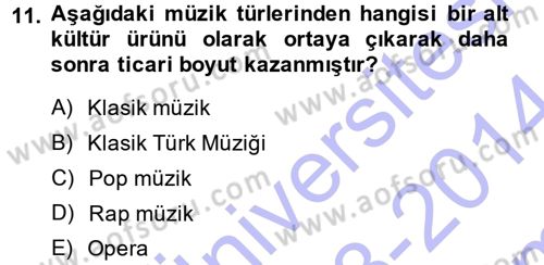 Kültür Sosyolojisi Dersi 2013 - 2014 Yılı (Final) Dönem Sonu Sınav Soruları 11. Soru