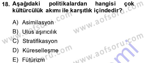 Kültür Sosyolojisi Dersi 2013 - 2014 Yılı (Final) Dönem Sonu Sınav Soruları 18. Soru