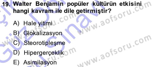 Kültür Sosyolojisi Dersi 2013 - 2014 Yılı (Final) Dönem Sonu Sınav Soruları 19. Soru