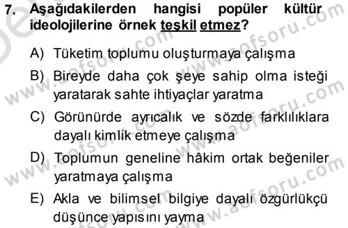 Kültür Sosyolojisi Dersi 2013 - 2014 Yılı Tek Ders Sınav Soruları 7. Soru