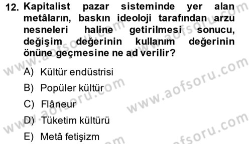 Kültür Sosyolojisi Dersi 2014 - 2015 Yılı (Vize) Ara Sınav Soruları 12. Soru