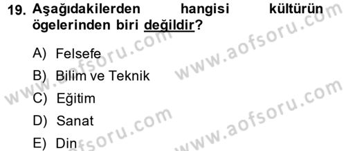 Kültür Sosyolojisi Dersi 2014 - 2015 Yılı (Vize) Ara Sınav Soruları 19. Soru