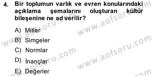 Kültür Sosyolojisi Dersi 2014 - 2015 Yılı (Vize) Ara Sınav Soruları 4. Soru