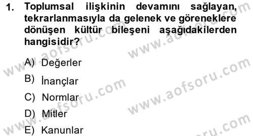 Kültür Sosyolojisi Dersi 2014 - 2015 Yılı (Final) Dönem Sonu Sınav Soruları 1. Soru