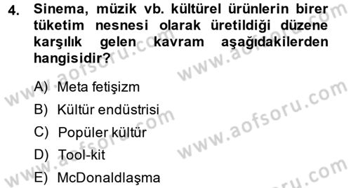 Kültür Sosyolojisi Dersi 2014 - 2015 Yılı (Final) Dönem Sonu Sınav Soruları 4. Soru