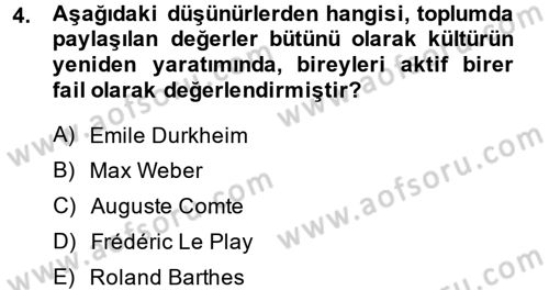 Kültür Sosyolojisi Dersi 2014 - 2015 Yılı Tek Ders Sınav Soruları 4. Soru