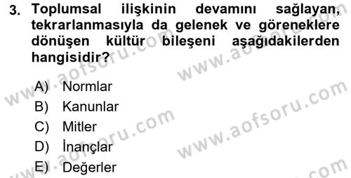 Kültür Sosyolojisi Dersi 2015 - 2016 Yılı (Final) Dönem Sonu Sınav Soruları 3. Soru