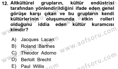 Kültür Sosyolojisi Dersi 2015 - 2016 Yılı Tek Ders Sınav Soruları 12. Soru