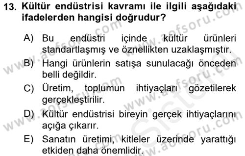 Kültür Sosyolojisi Dersi 2015 - 2016 Yılı Tek Ders Sınav Soruları 13. Soru
