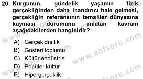 Kültür Sosyolojisi Dersi 2016 - 2017 Yılı 3 Ders Sınav Soruları 20. Soru