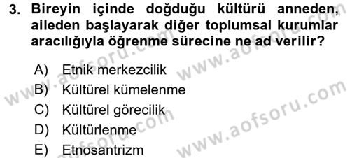 Kültür Sosyolojisi Dersi 2016 - 2017 Yılı 3 Ders Sınav Soruları 3. Soru
