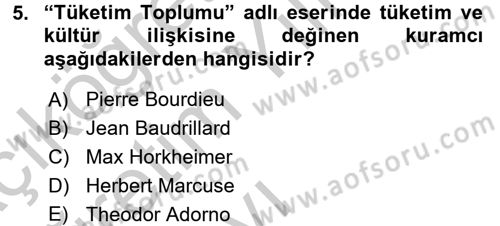Kültür Sosyolojisi Dersi 2016 - 2017 Yılı 3 Ders Sınav Soruları 5. Soru