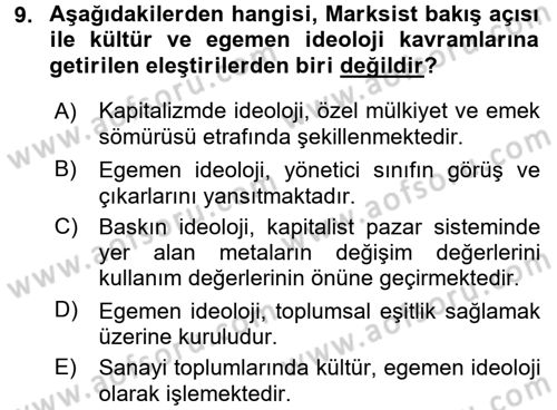 Kültür Sosyolojisi Dersi 2017 - 2018 Yılı 3 Ders Sınav Soruları 9. Soru