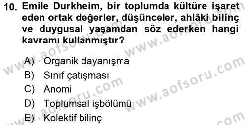 Kültür Sosyolojisi Dersi Ara Sınavı Deneme Sınav Soruları 10. Soru