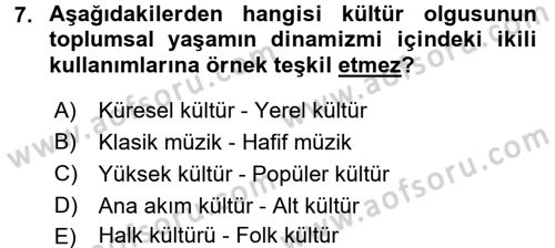 Kültür Sosyolojisi Dersi 2017 - 2018 Yılı (Vize) Ara Sınav Soruları 7. Soru