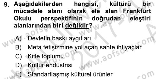 Kültür Sosyolojisi Dersi 2017 - 2018 Yılı (Vize) Ara Sınav Soruları 9. Soru