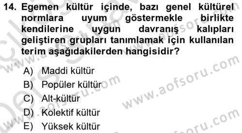 Kültür Sosyolojisi Dersi 2018 - 2019 Yılı 3 Ders Sınav Soruları 14. Soru