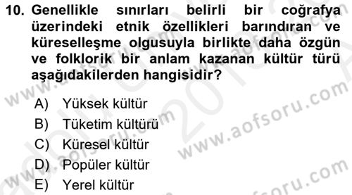 Kültür Sosyolojisi Dersi Ara Sınavı Deneme Sınav Soruları 10. Soru