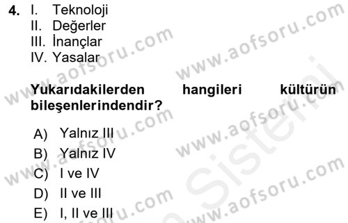 Kültür Sosyolojisi Dersi Ara Sınavı Deneme Sınav Soruları 4. Soru