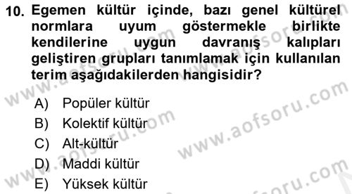 Kültür Sosyolojisi Dersi 2018 - 2019 Yılı (Final) Dönem Sonu Sınav Soruları 10. Soru