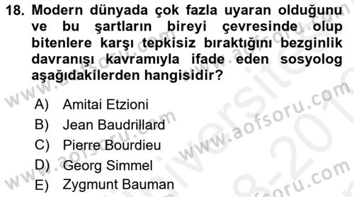Kültür Sosyolojisi Dersi 2018 - 2019 Yılı (Final) Dönem Sonu Sınav Soruları 18. Soru