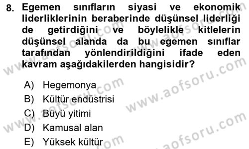 Kültür Sosyolojisi Dersi 2018 - 2019 Yılı (Final) Dönem Sonu Sınav Soruları 8. Soru