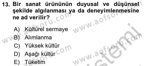 Kültür Sosyolojisi Dersi 2018 - 2019 Yılı Yaz Okulu Sınav Soruları 13. Soru