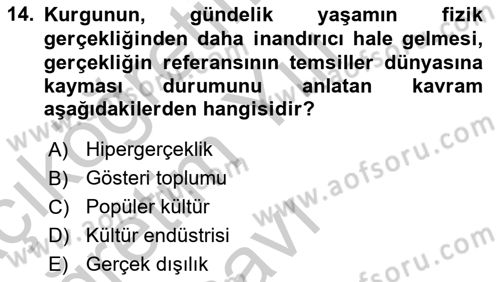 Kültür Sosyolojisi Dersi 2018 - 2019 Yılı Yaz Okulu Sınav Soruları 14. Soru