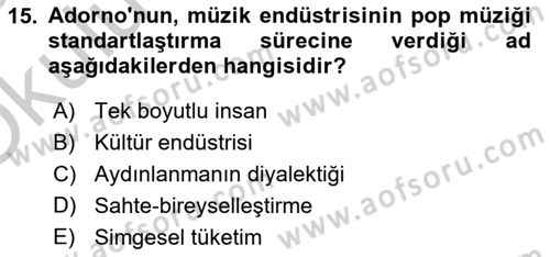 Kültür Sosyolojisi Dersi 2018 - 2019 Yılı Yaz Okulu Sınav Soruları 15. Soru