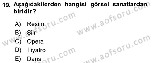 Kültür Sosyolojisi Dersi 2018 - 2019 Yılı Yaz Okulu Sınav Soruları 19. Soru