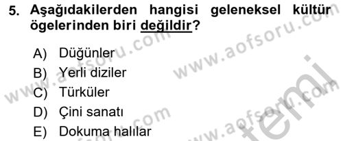 Kültür Sosyolojisi Dersi 2018 - 2019 Yılı Yaz Okulu Sınav Soruları 5. Soru