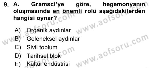 Kültür Sosyolojisi Dersi 2018 - 2019 Yılı Yaz Okulu Sınav Soruları 9. Soru