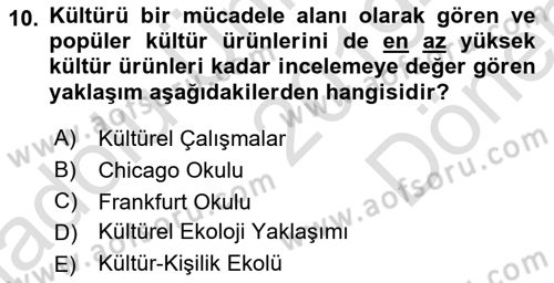 Kültür Sosyolojisi Dersi 2019 - 2020 Yılı (Final) Dönem Sonu Sınav Soruları 10. Soru