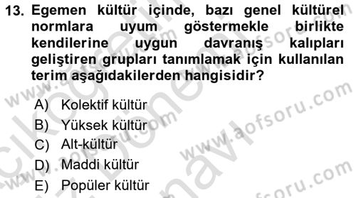 Kültür Sosyolojisi Dersi 2019 - 2020 Yılı (Final) Dönem Sonu Sınav Soruları 13. Soru