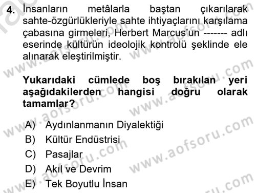 Kültür Sosyolojisi Dersi 2019 - 2020 Yılı (Final) Dönem Sonu Sınav Soruları 4. Soru