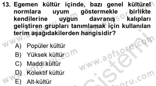 Kültür Sosyolojisi Dersi 2020 - 2021 Yılı Yaz Okulu Sınav Soruları 13. Soru