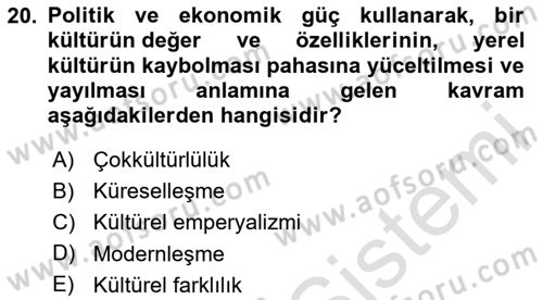 Kültür Sosyolojisi Dersi 2020 - 2021 Yılı Yaz Okulu Sınav Soruları 20. Soru