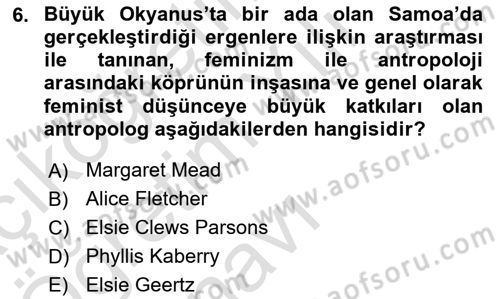 Kültür Sosyolojisi Dersi 2020 - 2021 Yılı Yaz Okulu Sınav Soruları 6. Soru