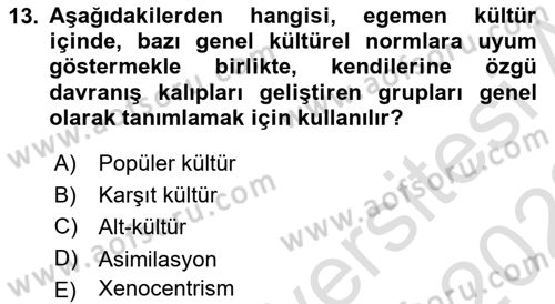 Kültür Sosyolojisi Dersi 2021 - 2022 Yılı (Final) Dönem Sonu Sınav Soruları 13. Soru