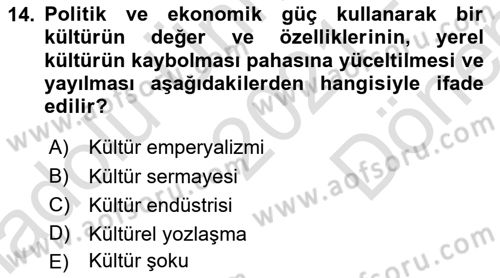 Kültür Sosyolojisi Dersi 2021 - 2022 Yılı (Final) Dönem Sonu Sınav Soruları 14. Soru